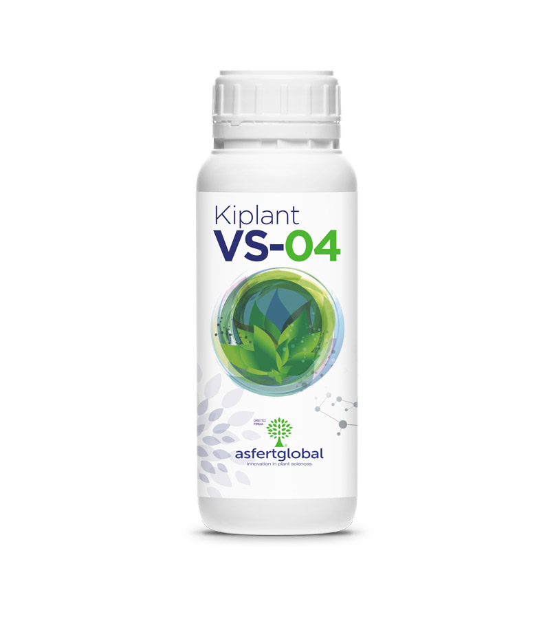 VS04 1