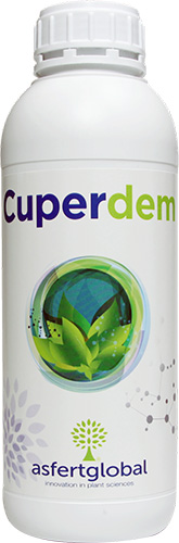 cuperdem 1