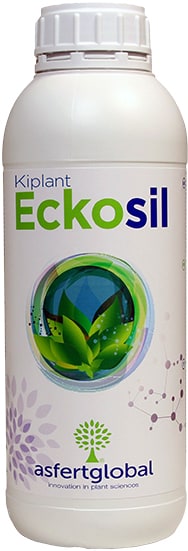 eckosil 2
