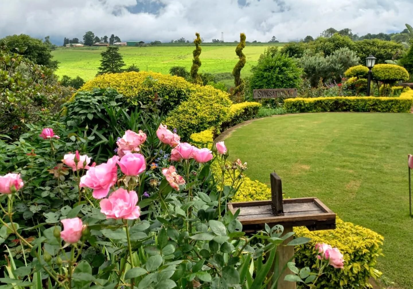 Carol Sacke Garden