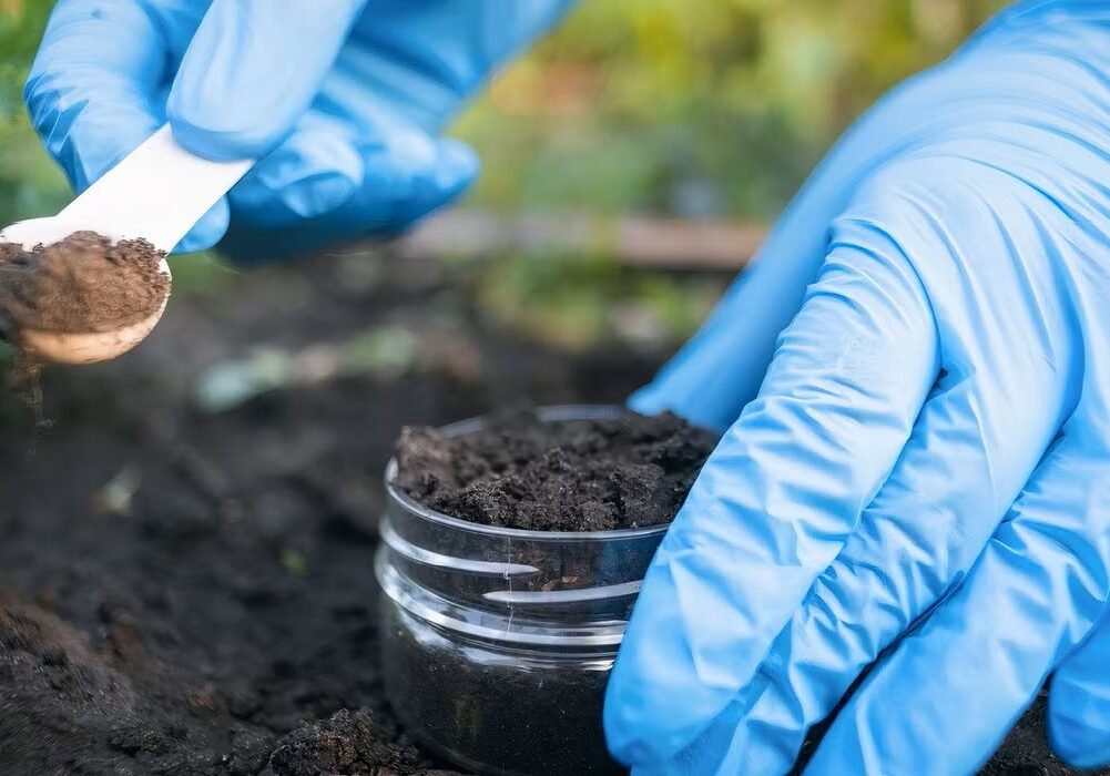 Domestic Gardens and Landscaping