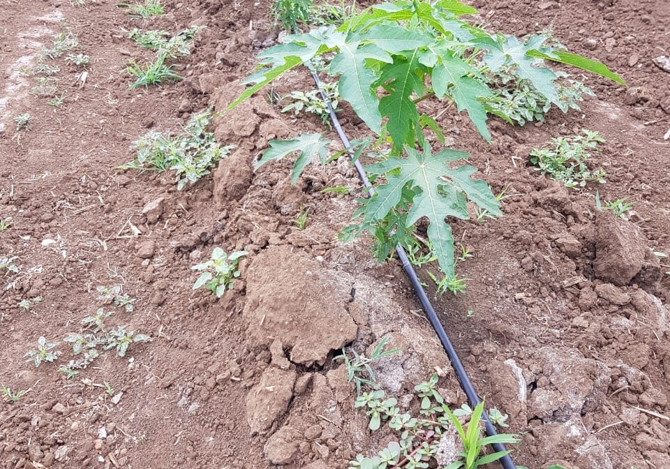 No-9-IMG-20190509-WA0003